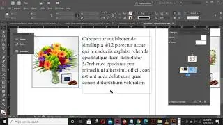 INDESIGN Fractions