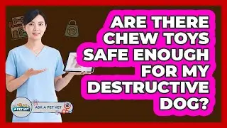 Are There Chew Toys Safe Enough For My Destructive Dog? - Ask A Pet Vet