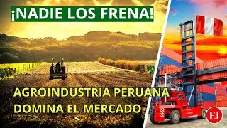El boom de las exportaciones agr&iacute;colas en el Per&uacute; 2023