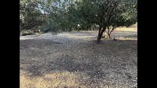 Pine Mountain Lake Lot