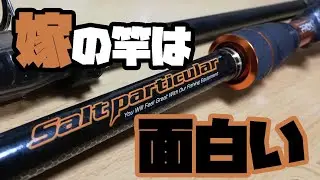 嫁のパックロッドかなり面白い