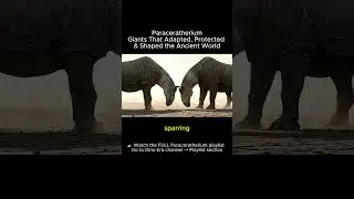 Paraceratherium: Giants That Adapted, Protected & Shaped the Ancient World #paraceratherium #viral