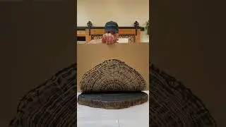 Nature Art - East Texas Tupelo Tree Ring Print - Inking and Pressing Process