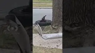 Jeep Crashes Into Utility Pole | Citizen