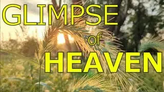 Glimpse of Heaven