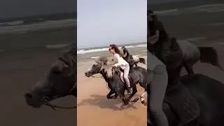 Listening this powerful sound | Horse riding | #horse #pony