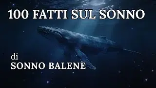 Scienza del Sonno delle Balene: Calma dell’Oceano Profondo per Ansia e Insonnia