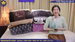 Review| Chăn l&ocirc;ng cừu gi&aacute; rẻ