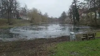 Hildesheim hoffentlich wird es bald Fr&uuml;hling -  Kalenberger Graben am 13.01.2024