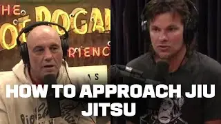 Joe Rogan&rsquo;s Advice to Theo Von to Starting BJJ