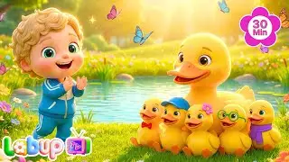 5 Little Ducks 🦆 30 Minutes of Educational Nursery Rhymes | Labup TV