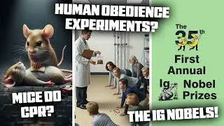 Absurd Statistical Links, Human Obedience Experiments, and Mice Perform CPR on Friends