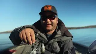 Clear Spinner Bait | Tornado Innovation