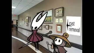 Hornet Gets Nicked (Silksong Parody)
