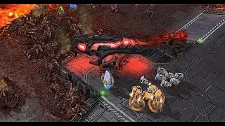 Heart of the Swarm : Protoss Edition ▏ 