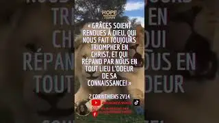 TRIUMPH IN CHRIST / VERONIQUE DOUGLAS
