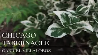 Thursday, January 20th, 2022 - Pastor Gabriel Villalobos - 
