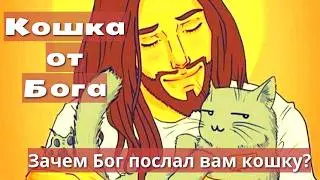 Кошка от Бога.Зачем Бог послал вам кошку?
