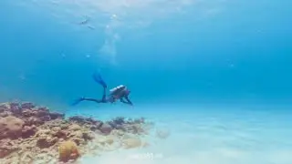 Mauritius 🇲🇺Scuba Diving |~ Travel Guide 