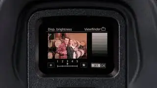 EOS R Quick Tips: Electronic Viewfinder&mdash;The Basics