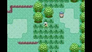 Hamburger Pok&eacute;Runners - Phase 4: Route 101 to Oldale Town