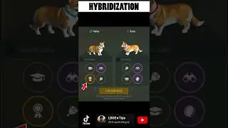 DOG CRATE PART 2: Mix Dog Breeds Last Day On Earth Survival | LDOE★Tips #ldoe #ldoeguide