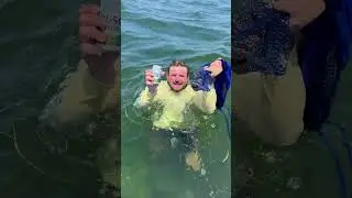 Scallop Season, SeaSucker Style!