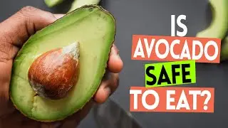 The REAL Health Benefits of Avocados (And The Unknown Side Effects)