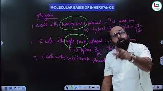 Molecular Basis of Inheritance lec 8