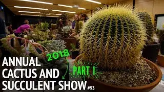 #93 The 2018 Cactus and Succulent Society of Australia Competition | Part 1