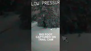 Bigfoot Captured on Department of Transportation Trail Cam