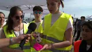 Concurs CanSat 2023