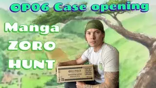 Wings of the Captain OP06 Case Opening - 12 Boxes (288 packs) CAN we hit the MANGA?