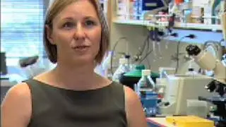 Amander Clark: Creating Embryonic Stem Cell Lines