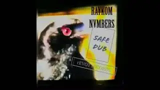 Raykom - Nvmbers (Safe Dub)