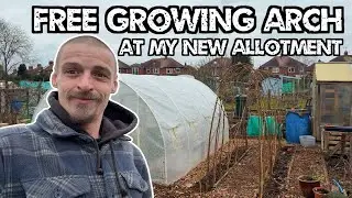 I Made A Growing Arch Out Of Free Resources At My New Allotment. (Lucky Find, Updates, Jobs +More)