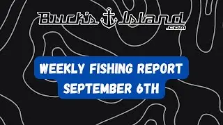Fishing Report-September 6th- Neely Henry, Weiss, Logan Martin,Lay, Guntersville,Lake Martin,Jordan