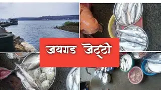 Jaygad Jetty|Jaygad Khadi|Ratnagiri Jaygad|Jaygad Fish