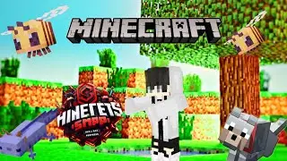 Antiheros smp update guys 👋