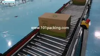 Water bottle box case carton conveying feeding robot hand palletizing machine palletizing equipment
