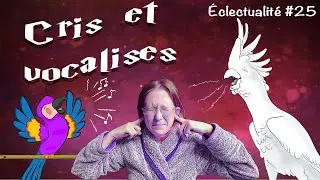 Pourquoi mon perroquet crie? (Éclectualité #25)