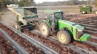 Smith Brother's Farms & Cattle Peanut Harvest 2020