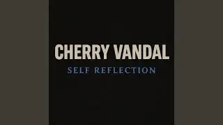 Self Reflection