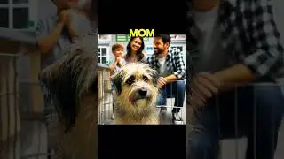 Poor dog won&rsquo;t get adopted by anybody! #help #dog #hero #story #sad #sadstory