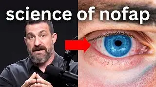 почему 30 дней NOFAP дадут вам все преимущества (Эндрю Хуберман)