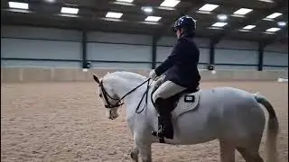 First dressage of 2026 - much, much! better than last time here at Pickering Grange 4th
