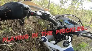 Playing in the prickles, Husky TE300 '2020. Hard Enduro training.