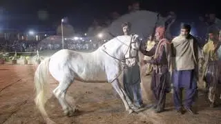 Amazing Horse Dance In  Mai Heer Mela jhang pakistan