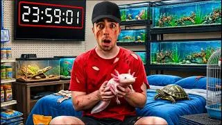 I Spent 24 Hours in a Pet Store