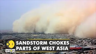Experts say sandstorms in West Asia could worsen due to climate change | WION Climate Tracker